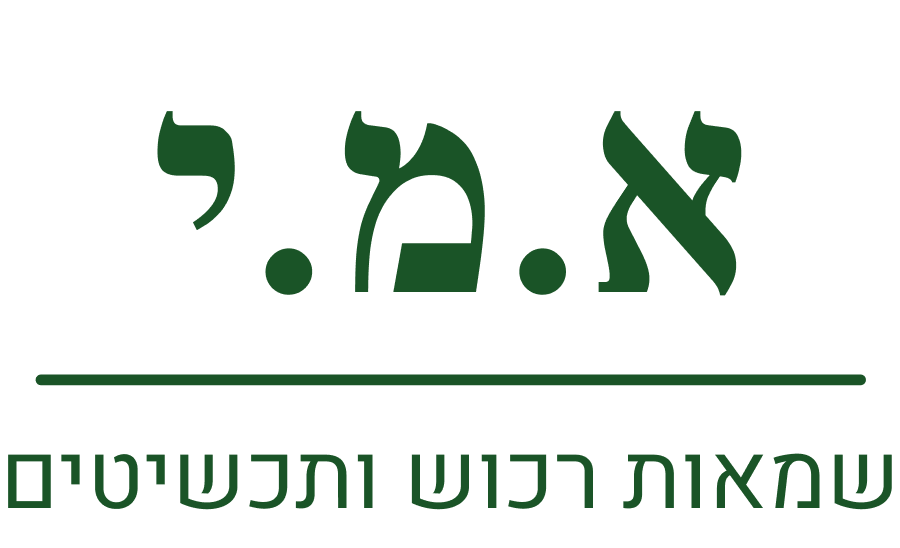 logo א מ י שמאות